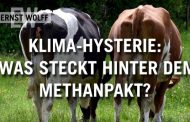 Ernst Wolff: Klima-Hysterie - Was steckt hinter dem Methan-Pakt?