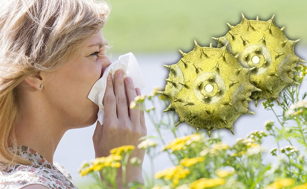 Pollenallergie: Hausmittel gegen Heuschnupfen